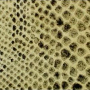 2 YDS Bundle Braemore Textiles Python Amber